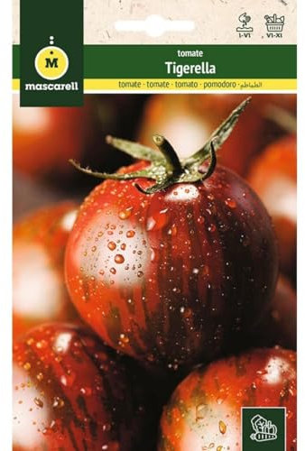 Mascarell Semillas, TOMATE, Semillas Huerto, TOMATE TIGERELLA, Crea tu Propio Huerto Urbano y Cultivo en Casa, Plantas Hortícolas, 0,2 Gramos