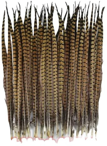 Plumes de faisan naturelles à col rond, 10 pièces, for l'artisanat, plumes à rayures de couronne, grands vêtements décoratifs, décoration de mariage(65-70cm 26-28inch)