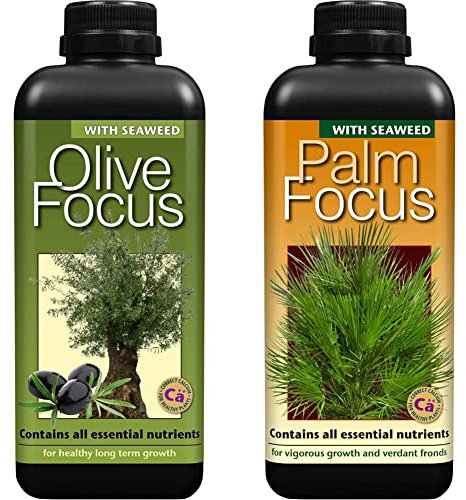 Olive Focus Liquid Concentrated Fertiliser 1 Litre &,1L,Black Palm Focus 1 Litre