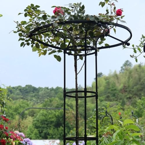 Rosfritt vitt trädgårdsspaljé för klätterväxter 90 cm / 35,4 tum, metallblomstöd, ställning för Wisteria & Veal paraplyväxt för utomhusdekoration