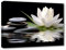 LZIMU Zen Leinwandbilder weißer Lotus und schwarze Zen Steine blühen im Wasser Bilddrucke für Yoga Spa Meditation spirituelle Raumdekoration (Zen-1,(30.00 x 45.00 cms))