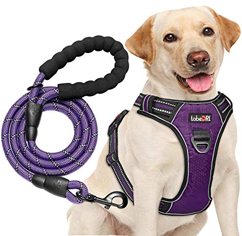 tobeDRI No Pull Dog Harness Adjustable Reflective Oxford Easy Control Medium Large Dog Harness with A Free Heavy Duty 5ft Dog Leash, Purple, L