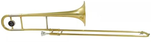 Woodbrass WTB200 – Trombón Tenor Sib – Latón barnizado, pequeño taladro y sonido cálido – Instrumento principiante listo para jugar con funda y boquilla