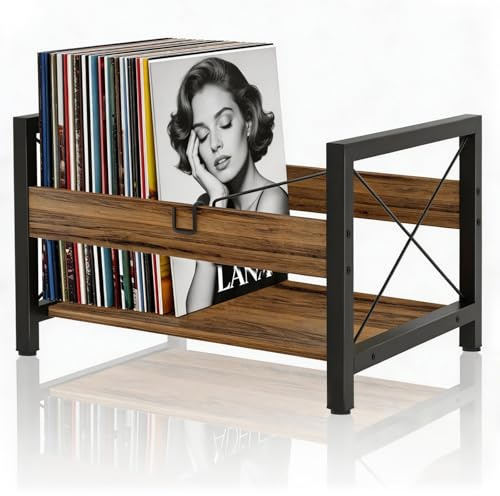 GHWMYD Estanteria para 100 vinilos, Almacenamiento Multiusos de Soporte Vinilo y Organización de Escritorios, Mueble Caja de CDs DVDs de discos Revistas Libros