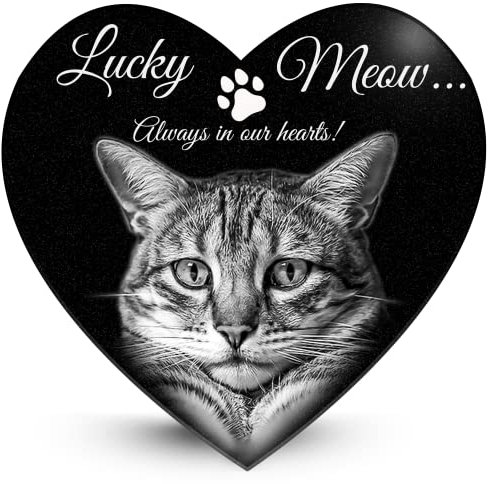 Pierre commémorative pour animaux personnalisée, gravée au laser sur granit noir avec photo, plaque personnalisée résistante aux intempéries pour chien, chat, cadeau de condoléances, usage funéraire