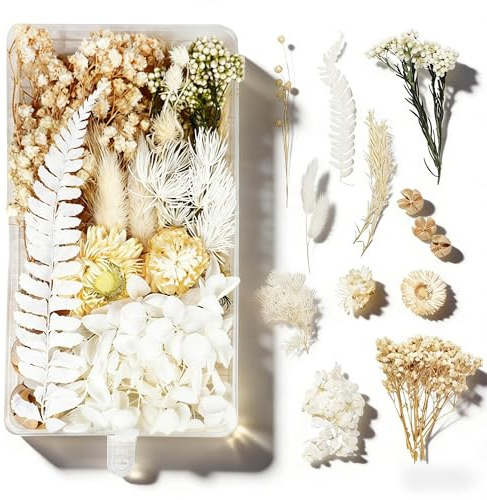Flores Secas Naturales Flores Secas para Resina Flores Secas Naturales Deco | Decorar Flores Secas Manualidades DIY Joyería Vela Arte de Uñas Artesanía Scrapbooking Decoración Floral (Blanco)