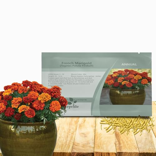 Outsidepride Fireball French Marigold Seeds - 100 Pcs Annual, Compact, Heat & Drought Tolerant Flower Seeds for Planting w/Fragrant Foliage & Prolific Blooms, Ideal for Vibrant Pollinator Gardens