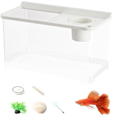 Betta akvarium med 3 färger belysning - dekorativ fiskburk - 360° vision för kontor, vardagsrum, entré, sovrum, heminredning