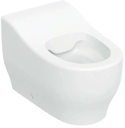 Geberit Bambini WC au sol pour petits enfants, chasse deau basse, Rimfree, hauteur:24cm, 502.965.00.1, Couleur: blanc