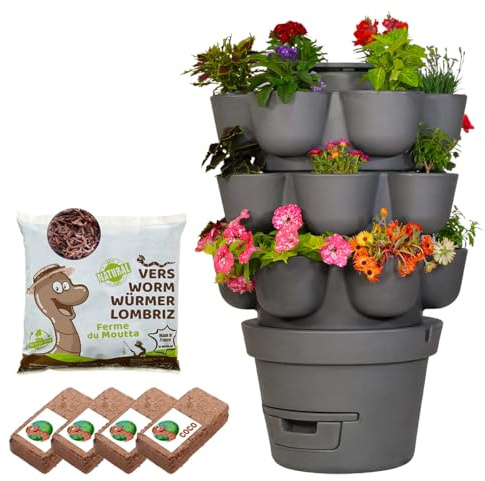 Moutta | WORMgarden Gris 3 jardineras + 500 gr de gusanos de compost | Jardín Huerto Vertical con Furgoneta | Cultiva tus frutas y verduras | Crea tu huerto y recicla tus residuos