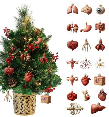 Qkbuza Calendario 'Avvento Natale 2025-2D Pendente Per Decorazione Casa - Calendario Con Ornamenti Di Anatomia | Per Compleanno Laurea Vacanza Insegnanti Infermieri Casa Ufficio Aula