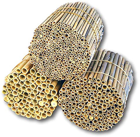 BeeCasa by Hiss Reet® Schilfrohrhalme Mix | 3er Kombi Set | Insektenhotel & Bienenhotel Füllmaterial | Niströhren & Nisthülsen für Wildbienen