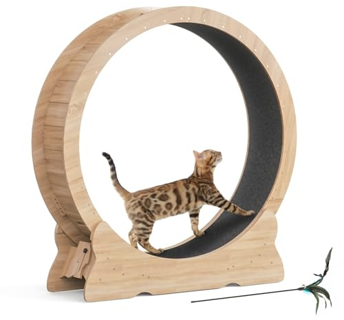 Mondeer Rueda para gatos, ejercicio para gatos de interior con pista alfombrada, cinta de correr XL de 43.3 pulgadas con alfombra extraíble, para correr y caminar (madera natural)
