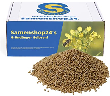 Gelbsenf, Inhalt: 1kg (für ca. 200m²), schnellwüchsig, für Gute Bodenlockerung, Wirtspflanzen für Falter, Bodenkur & Gründünger, Premium Saatgut für einen gesunden Gartenboden