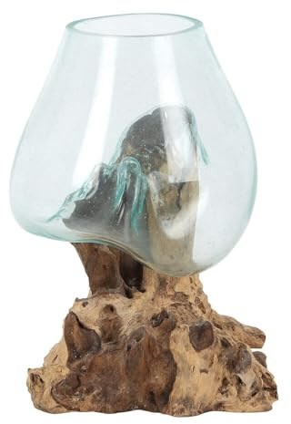 Elegant Molten Transparent Glass Bowl on Root Wood Stand - 28cm x 20cm (1 Pc.) - Unique Decorative Piece or Plant Terrarium/Fishbowl - Perfect for Home & Garden Decor