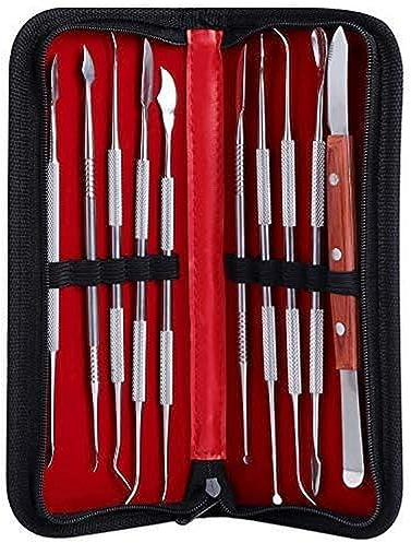 Coolty 10pcs Herramientas para Tallar Cera, Arcilla de Acero Inoxidable de Doble Punta para Esculpir Arcilla de Cera para Esculpir, Detalles, Tallado de Cerámica