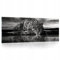 WallArena Glasbild 125x50 cm Tiger Schwarz Weiss Tiere Leopard Modern Glasbilder Badezimmer Schlafzimmer Bilder auf Glas einteilig Deco Glass Querformat Wandbilder Aufhängfertig