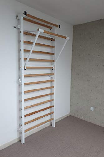 Artimex Set para Gimnasia, Fisioterapia y Fitness, Utilizado en hogares, clínicas o centros de Fitness, código 221-M-set (Blanco)