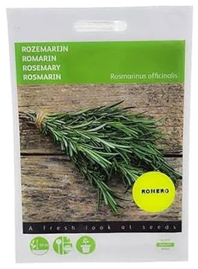 Semillas de Romero Planta con Propiedades Medicinales y de Uso Culinario