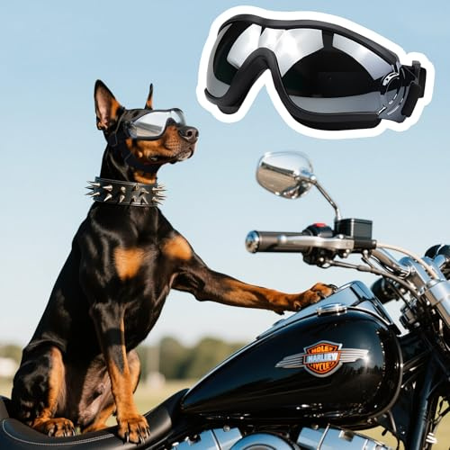 Gafas de Sol para Perros Dwafill, Gafas Perro Protección UV, Gafas de Sol para Perro Correa Ajustable, para Perros medianos y Grandes (Black Silver)