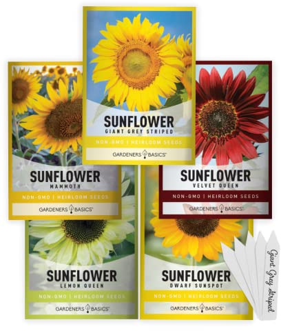 Gardeners Basics, Sunflower Seeds for Planting Flowers (5 Pack Mix) - Velvet Queen, Dwarf Sunspot, Lemon Queen, Giant and Mammoth Bulk Mix of Regular Sunflower Seeds for Outdoor Flower Garden