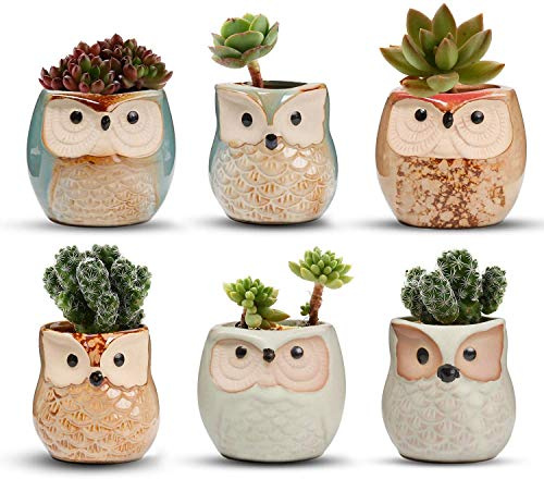 Vasi in Ceramica 6pz, in Ceramica con Gufo, Vaso per Fiori in Ceramica, per piante Cactus Vaso per fiori Vaso per fiori Fioriera Contenitore Bonsai Vasi con un buco Perfetto Idea regalo