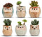 Set mit 6 Keramik-Blumentöpfen mit Eule – Bonsai-Töpfe mit perfektem Loch – Geschenkidee