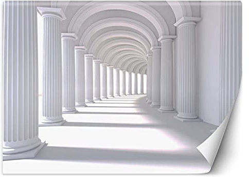 Feeby Carta Da Parati Effetto 3D Illusione 3D Tunnel 350x245 cm bianco Fotomurale Tessuto Non Tessuto Per Casa Ufficio Camera Da Letto Gabinetto Soggiorno Astratto Colonnato Portici