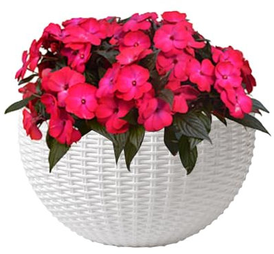 Wall Pots Plants Indoor, Imitation Rattan, Elegant Semicircular Design, Space-Saving Floral Display, 10.24x8.07 Inches, Ideal for Orchid Pothos Begonias Petunias Impatiens Decor