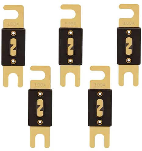 5 Pezzi ANL Fusibili Auto 100A, 32V, Fusibili Auto di Sicurezza ad Alta Corrente, Ideali per Impianti Audio e Video per Aute, Protezione Elettrica Affidabile e Resistente