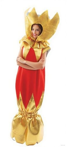 Eghunooye Knallbonbons für Erwachsene, Rot und Gold, Weihnachtskostüm für Weihnachten, Party, Cosplay, Outfit (Gold, L)