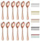 Evanda Teelöffel Roségold 12er 14cm, Kaffeelöffel aus Titainium Rosévergoldung Edelstah, Espressolöffel, Dessertlöffel, Kleine Löffel, Besteck für Tee, Kaffee, Dessert, spülmaschinenfest