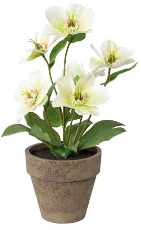 CREATIV green Christrosenbusch weiß-grün im Keramik Topf I weihnachtliche Christrose 28cm I Christrosen im Topf künstlich I Weihnachtsdeko I hochwertige Kunstpflanzen für Weihnachten