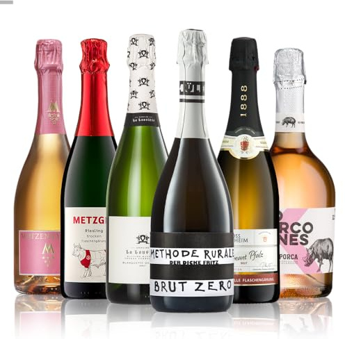 GEILE WEINE Weinpaket SEKT trocken (6 x 0.75) Probierpaket mit Weisswein-Sekt & Rosé-Sekt von Winzern aus Deutschland, Italien und Frankreich
