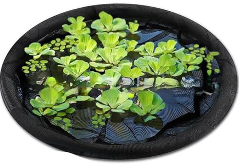 Vdaxvme Panier de stockage pour plantes île flottante avec maille fine - Île flottante ronde pour poissons aux fleurs - Niveau d'eau réglable - Protection des plantes