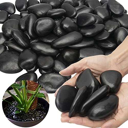 Black River Rocks para Paisajismo al Aire Libre, Negras Pulidas para Plantas, Jardín Decorativas de 15 Libras, Roca de Río Negro, 1 a 2 Pulgadas