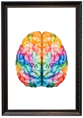 Din A4 Kunstdruck ohne Rahmen - Gehirn Aquarell Anatomie Bunt Wasserfarbe Neurologie Druck Poster Bild