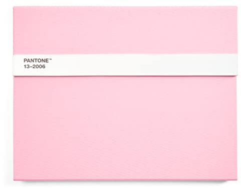 Pantone Notizbuch liniert, mit Stift und Lineal, 160 Seiten, Außenbemaßung LxBxT 240 x 190 x 20 mm, Light Pink 13-2006