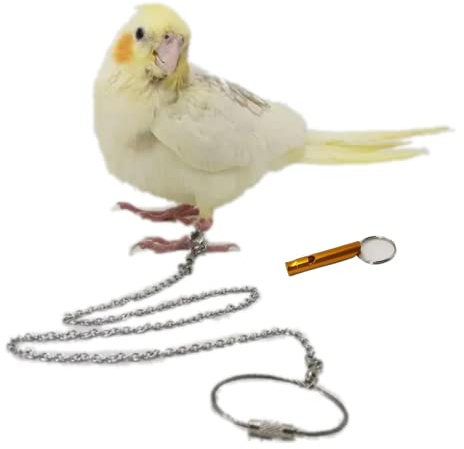 Bird Foot Chain Flying Stainless Steel Training Rope Outdoor Parrot Ankle Foot Ring Accessories Bird Harness Leash Prevent Escaping (Model6)