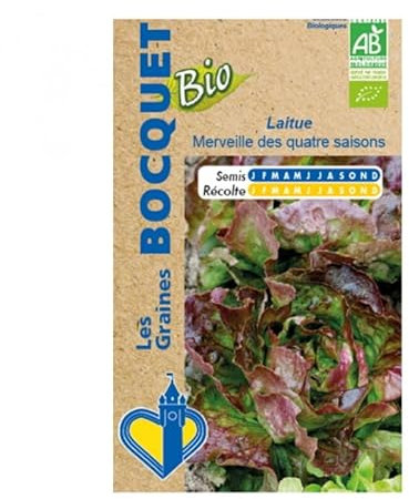 Sachet de graines de Laitue Merveille Des 4 Saisons- Certifiée ECOCERT FR-BIO-01-3g - Les Graines Bocquet