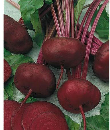 Graines Betterave noire plate d'Egypte - sachet de 300 graines - Beta/vulgaris/Chenopodiaceae - Graines de style