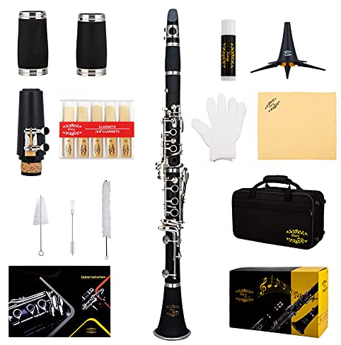 Glory GLY-PBK - Clarinete profesional de ebonita con 10 lengüetas, soporte, estuche duro, paño de limpieza, grasa de corcho, cepillo para boquilla y cepillo de almohadilla, color negro