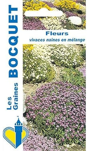 Sachet de graines de Fleurs naines vivaces en mélange - 0,5 g - fleur vivace - LES GRAINES BOCQUET