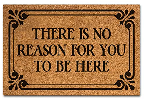 Funny Coir Doormat: No Reason Here - Brown, 23.7x15.7 inch, Outdoor/Indoor, Thick Coconut Fiber