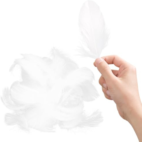 Tabanzhe 100 White Dreamy Feather Decorations for DIY Dream Catcher Costumes Wedding and Holiday Crafts - Assorted Natural Carnival/Wedding/Party Decorations Supplies(White)