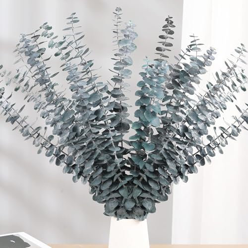 Lot de 20 fleurs séchées naturelles de 43 cm, plante d'eucalyptus vert frais naturel en branches de feuilles d'eucalyptus royales pour décoration de maisons, fêtes (bleu)