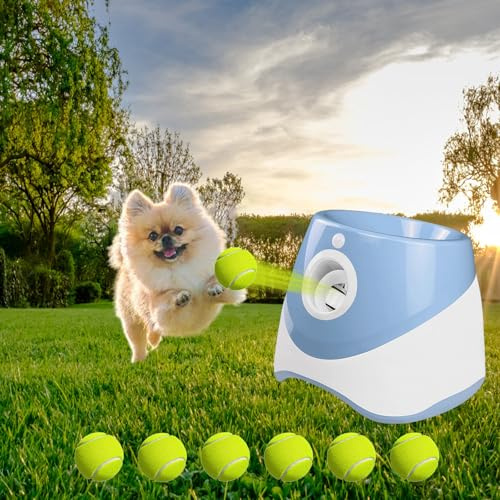 Máquina de lanzamiento de bolas para perros, máquina automática para lanzar bolas con 6 pelotas de tenis, juguete para perros, lanzador de pelotas, 3 distancia de lanzamiento intermedio, juguete