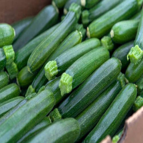 100 piezas de semillas vegetales de calabacín verde