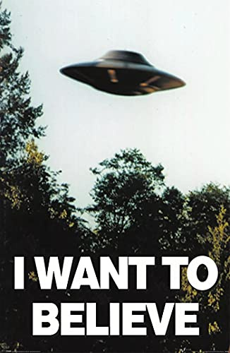 ASHER Gift I Want to Believe ,Wood, Multi-Colour - Matte poster Frameless Gift 11 x 17 inch(28cm x 43cm)-LS-214