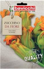 Bavicchi VZU26 Busta semi Zucchino da fiore